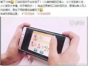 热点爆料视频文案素材,视频文案背后的真相与启示